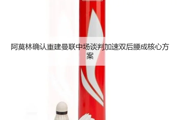 阿莫林确认重建曼联中场谈判加速双后腰成核心方案